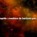 Réponse rapide : combien de haricots par pied carré